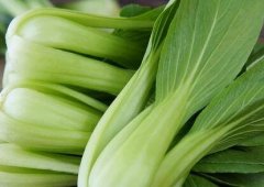 植物冠層分析儀如何助力農業(yè)研究？